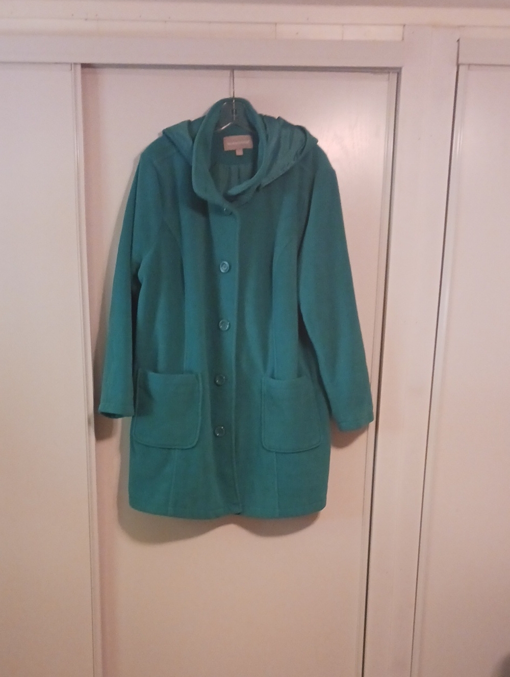 Woman Within Teal Hooded Pea Coat